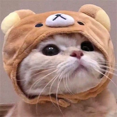 Judy Ann Santos avatar